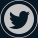 Twitter Icon
